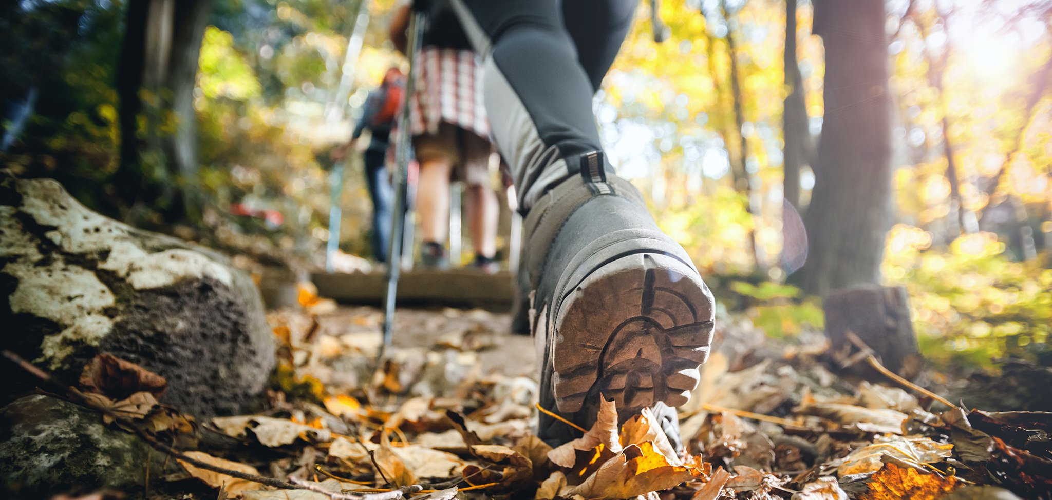 Hiker woman with trekking sticks climbs steep on mountain trail,
