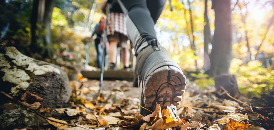Hiker woman with trekking sticks climbs steep on mountain trail,