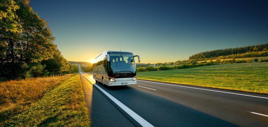 White bus traveling on the asphalt road around line of trees in