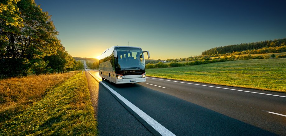 White bus traveling on the asphalt road around line of trees in