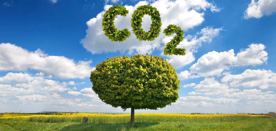 CO 2 Ausstoß - Klimaschutz