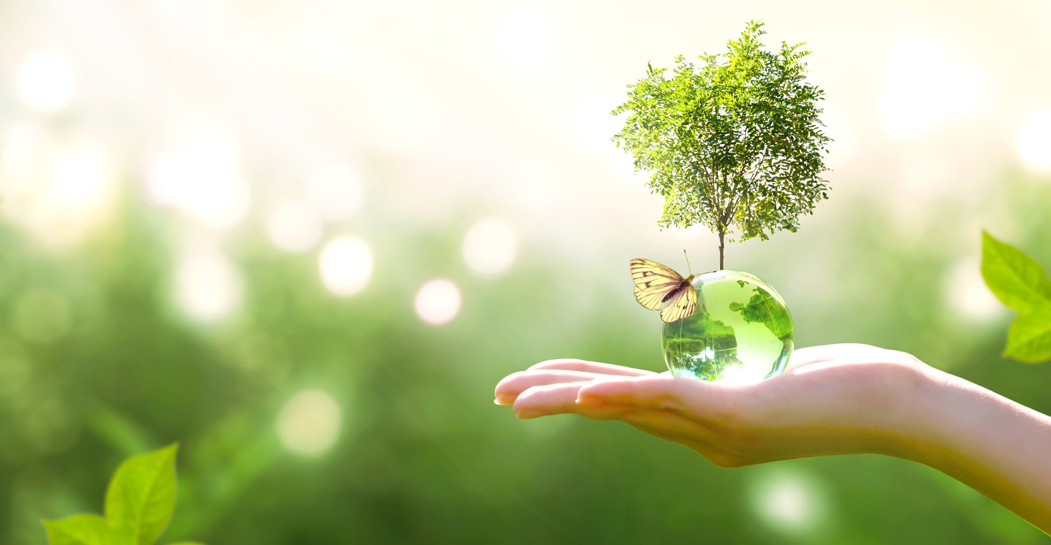 Earth crystal glass globe ball and growing tree in human hand, f Earth crystal glass globe ball and growing tree in human hand, f