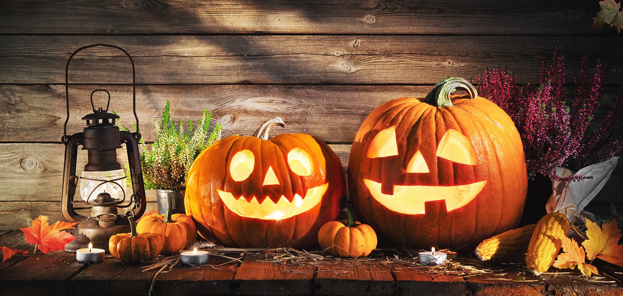 Halloween pumpkin head jack-o-lantern