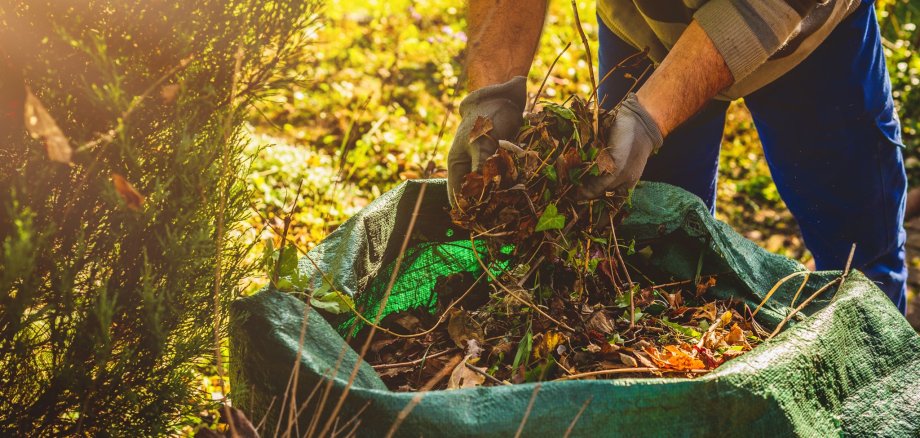 Cleaning in the garden. The concept of care for cleanliness and