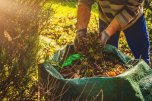 Cleaning in the garden. The concept of care for cleanliness and Cleaning in the garden. The concept of care for cleanliness and