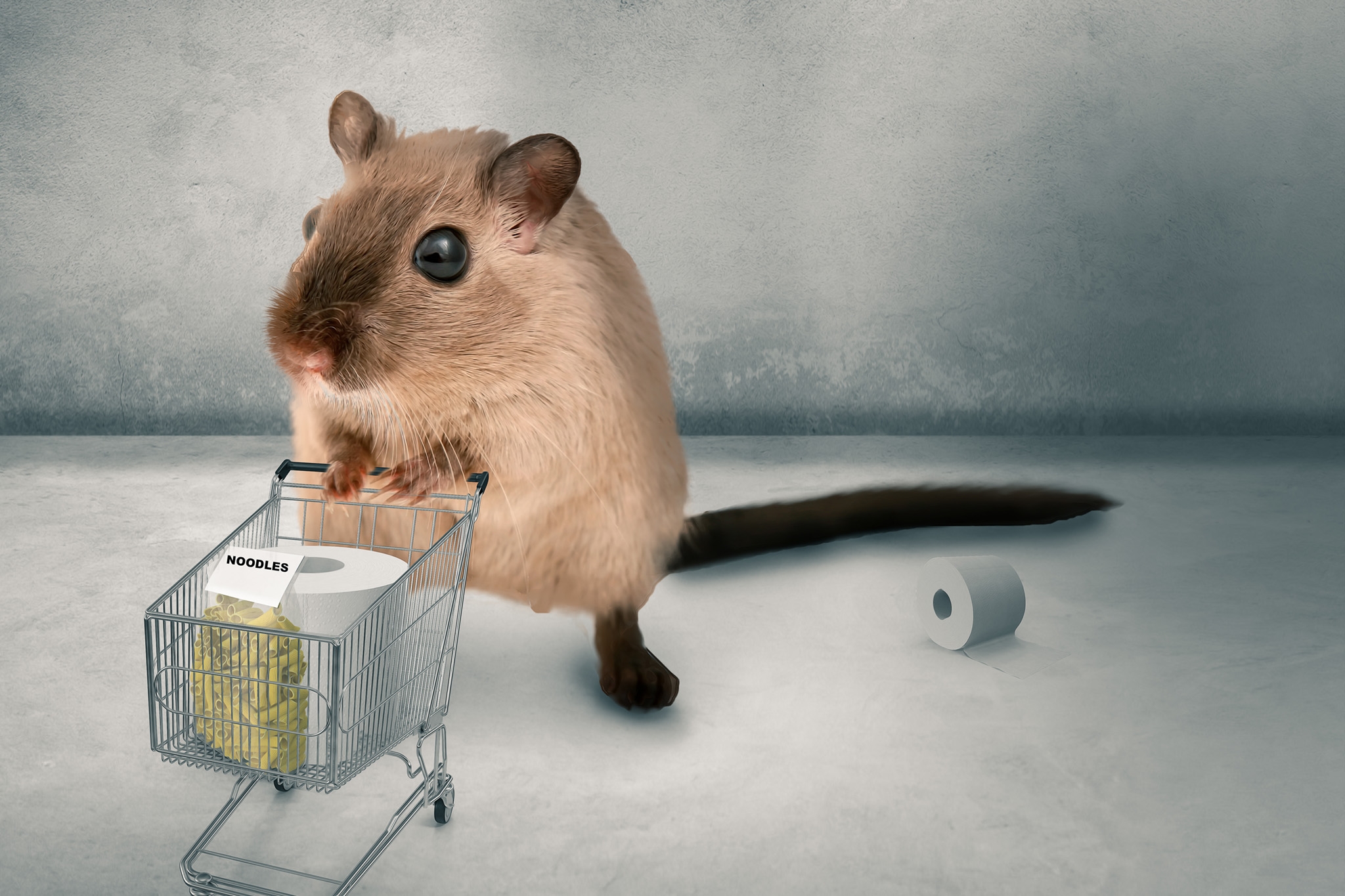 hamster buying in panic the supermarket empty - 3D-Illustration