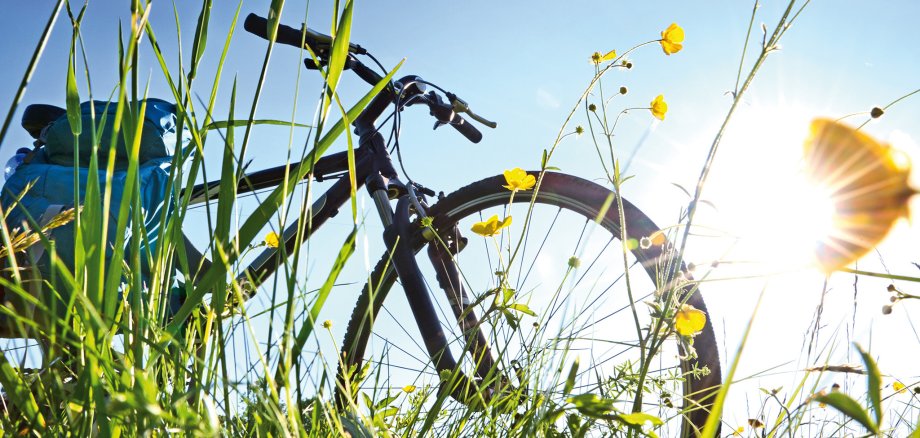 Trekkingbike Pause im Gegenlicht