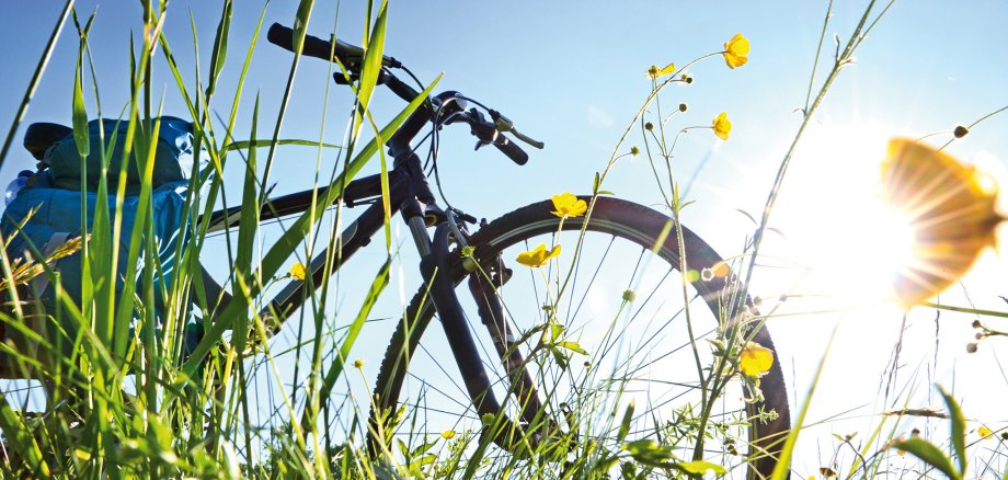 Trekkingbike Pause im Gegenlicht