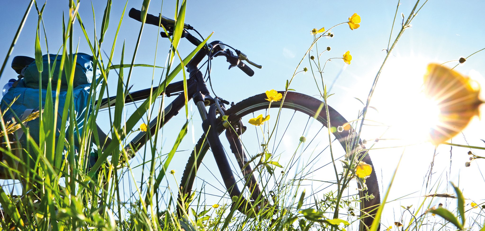 Trekkingbike Pause im Gegenlicht