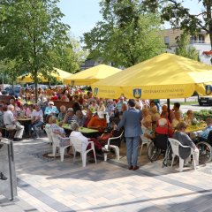 Senioren Sommer-Grillfest