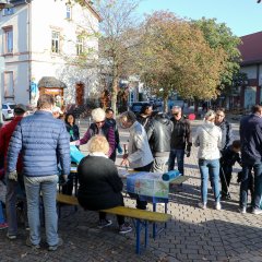 Sauberhafter Herbstputz 2019