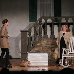 Theater "Falsche Schlange"