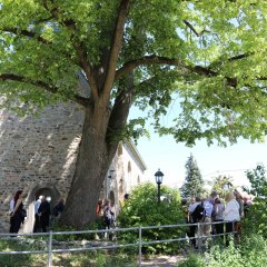 45 Jahre Städtepartnerschaft Steinbach (Taunus) und Saint-Avert