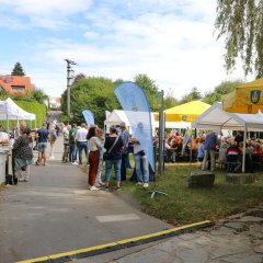 Steinbach OPEN AIR