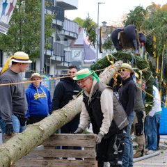 Steinbacher Kerb