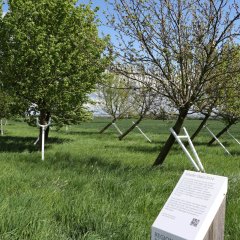 Fahrradrundroute mit den Neubürgerinnnen und Neubürgern