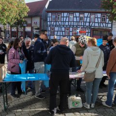 Sauberhafter Frühjahrsputz