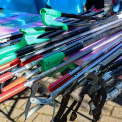 Sauberhafter Frühjahrsputz