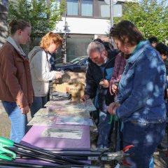 Sauberhafter Frühjahrsputz