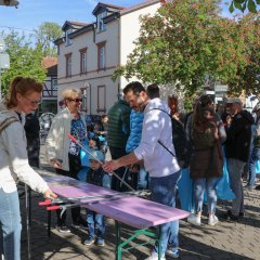 Sauberhafter Frühjahrsputz