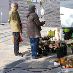 50 Jahre Stadtrechte