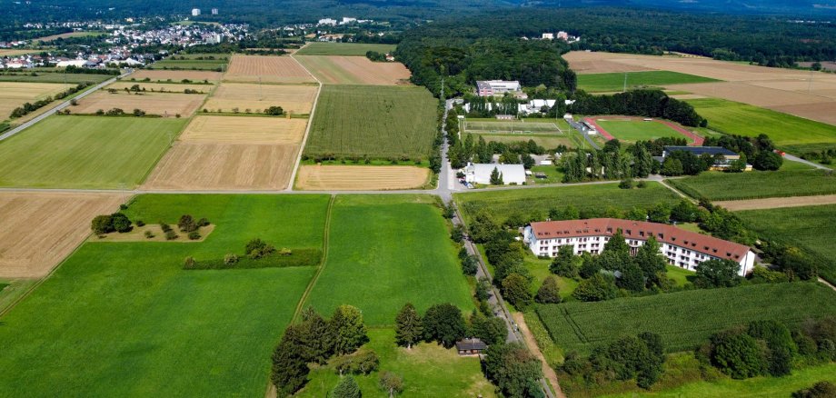 Luftaufnahmen von Steinbach (Taunus)